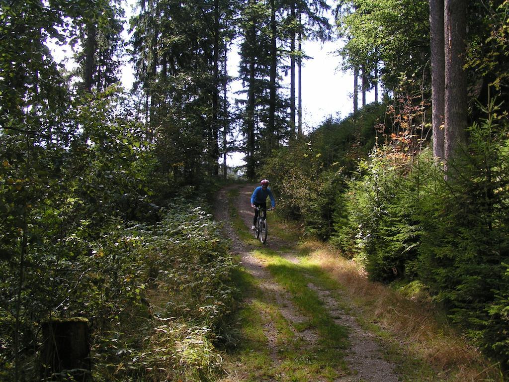 Bed And Breakfast Isidorus Winterberg Zewnętrze zdjęcie