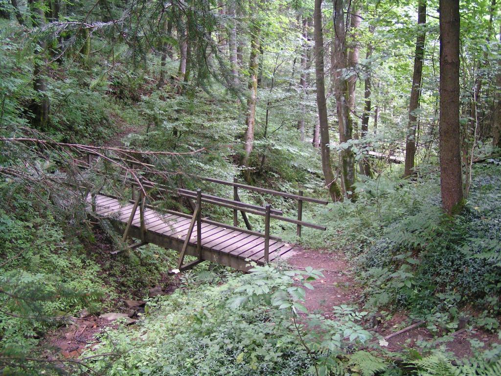 Bed And Breakfast Isidorus Winterberg Zewnętrze zdjęcie